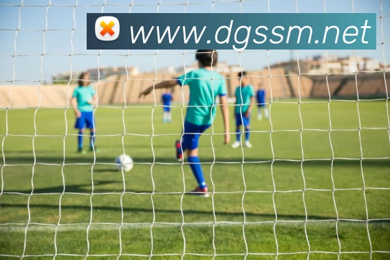买球赛平台生态图